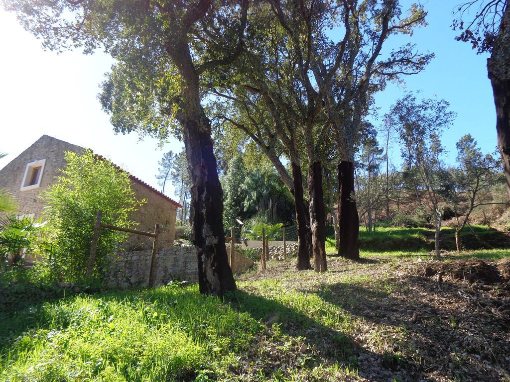 Oak Cottage Ferreira do Zezere Exterior photo