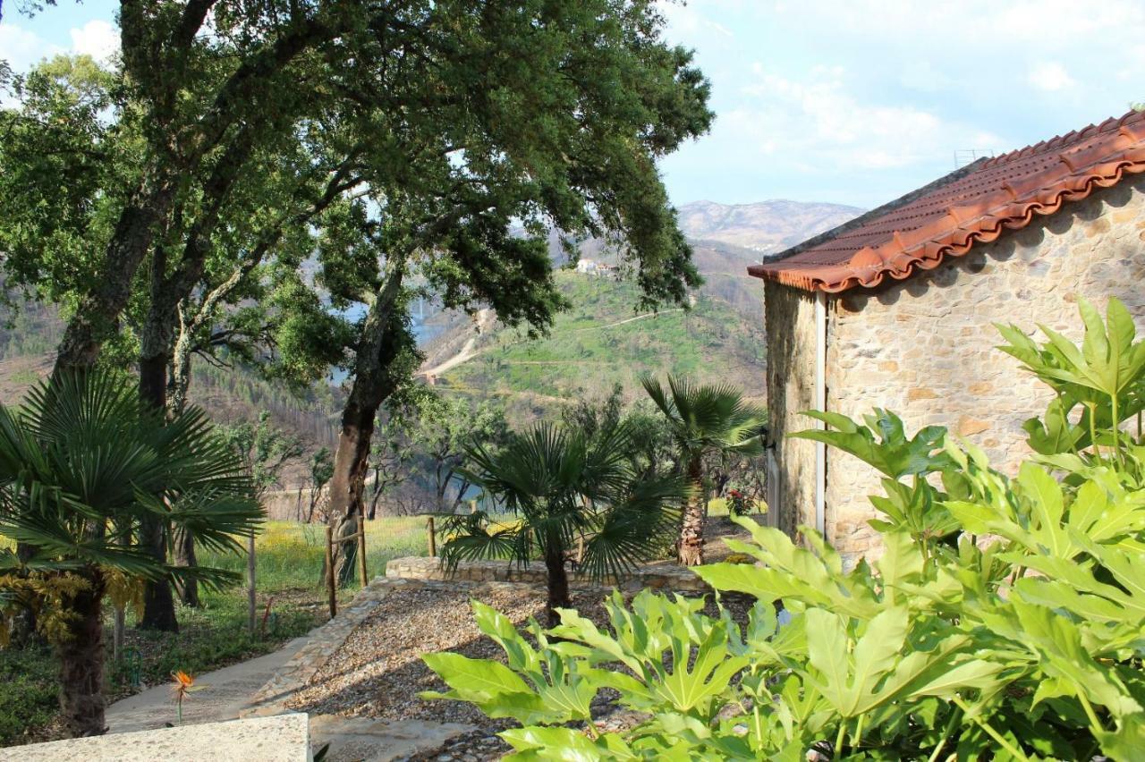Oak Cottage Ferreira do Zezere Exterior photo